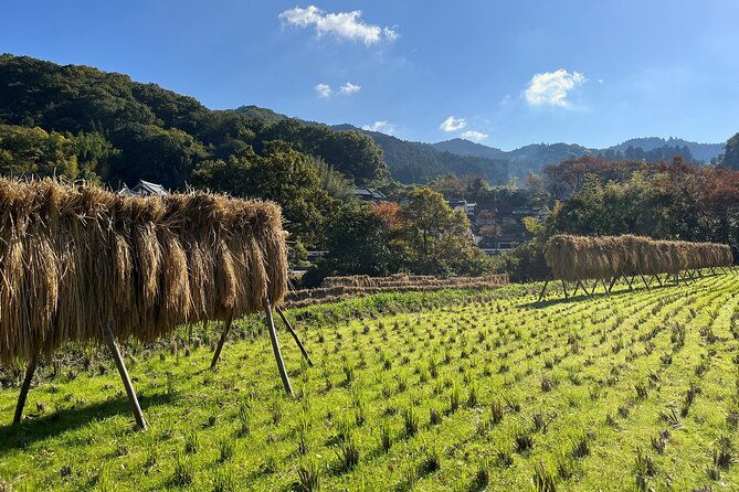 private-2-days-tour-in-asuka-village-hidden-gems-of-nara