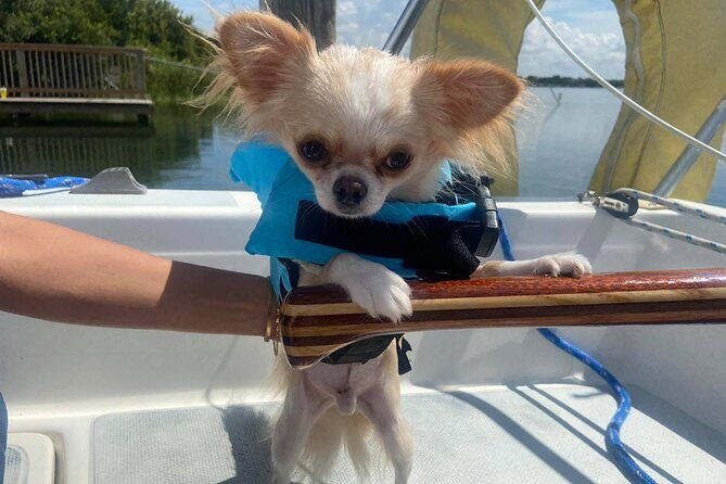 private-2-hour-day-sailing-experience