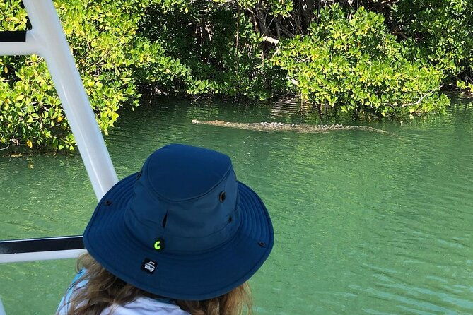private-2-hour-mangrove-ecotour