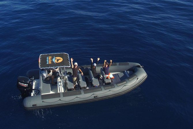 private-2-hour-whale-watching-tour