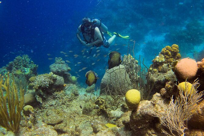 private-2-tank-guided-experience-in-curacao-for-certified-divers