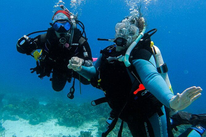 private-2-tank-guided-experience-in-curacao-for-certified-divers