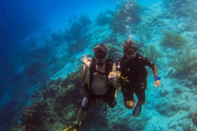 private-2-tank-guided-experience-in-curacao-for-certified-divers