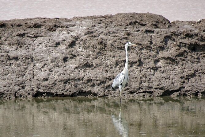 Private 3 Day Adventure through Dholavira and White Desert Rann - Final Thoughts: Who Will Love This Tour?