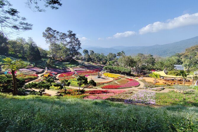 Private 3 Day Chiang Mai and Chiang Rai Tour - The Sum Up