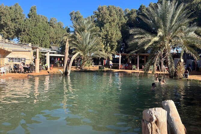 Private 3-Day Excursion to the Tunisian Desert - Introduction to the Tour Experience