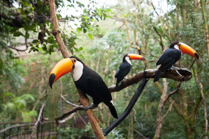 private-3-day-iguazu-falls-tour
