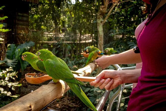 private-3-day-iguazu-falls-tour