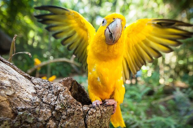 private-3-day-iguazu-falls-tour