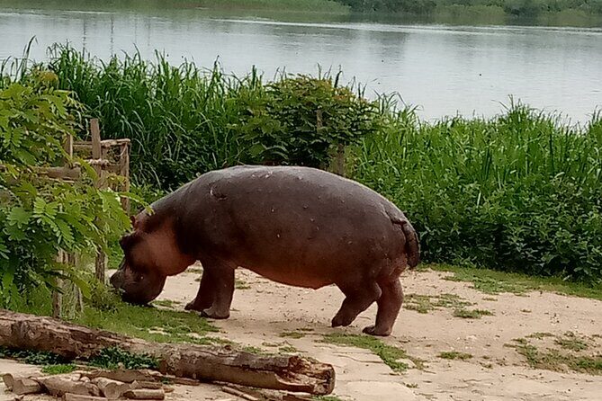 Private 3-Day Tour in Queen Elizabeth Park Safari - Exploring the 3-Day Queen Elizabeth Safari