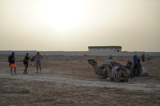 Private 3 Day Tour in Southern Tunisia or More - Why Youll Love This Tour