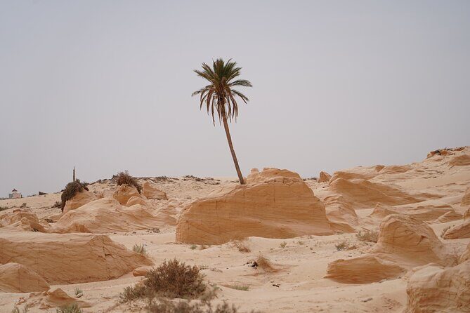 Private 3 Day Tour in Southern Tunisia or More - Packing Tips and Practicalities