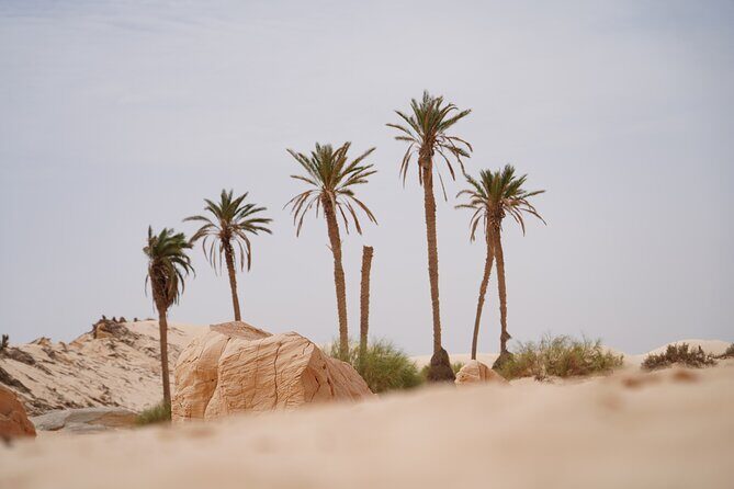 Private 3 Day Tour in Southern Tunisia or More - Final Thoughts: Is It Worth It?