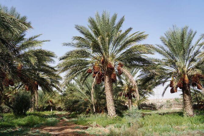 Private 3 Day Tour in Southern Tunisia or More - FAQs
