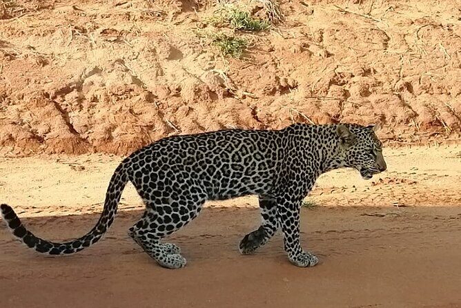 Private 3 Day Tsavo East Safari from Mombasa - FAQ