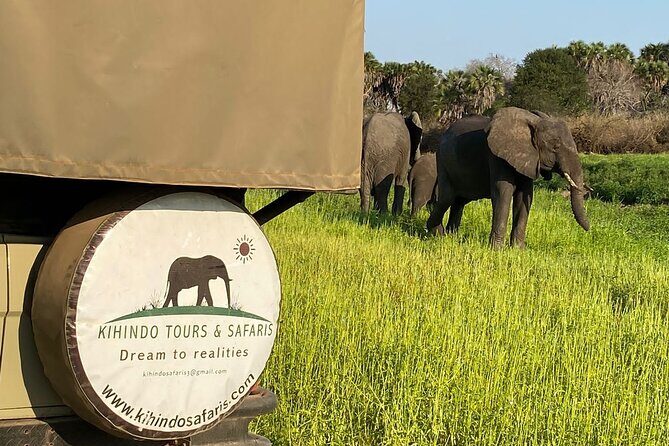 Private 3 Days 2 Nights Mikumi Adventures - What Travelers Say