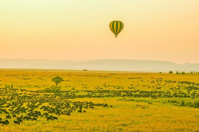 Private 3 Days Astounding Masai Mara Migration Safari. - The Itinerary in Detail