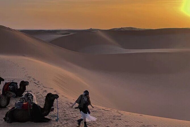 Private 3 days desert tour from fes to Marrakech - Key Points