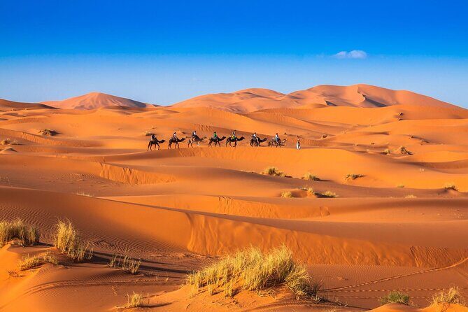 Private 3 Days Desert Tour from Marrakech to Merzouga Desert - A Comprehensive Look at the Marrakech to Merzouga Desert Tour