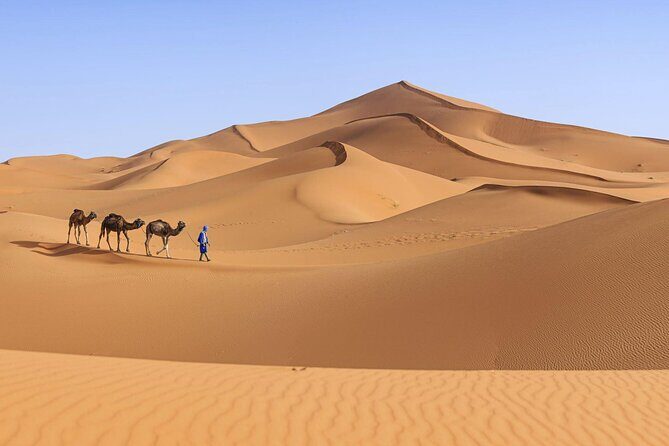 Private 3 Days Desert Tour from Marrakech to Merzouga Desert - Who Should Consider This Tour?