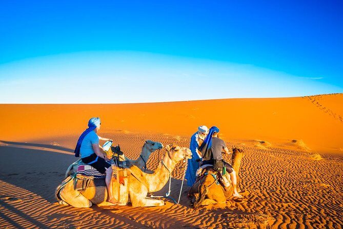 Private 3 Days Desert trip from Marrakech to Merzouga and back to Fez - What Travelers Love About This Tour