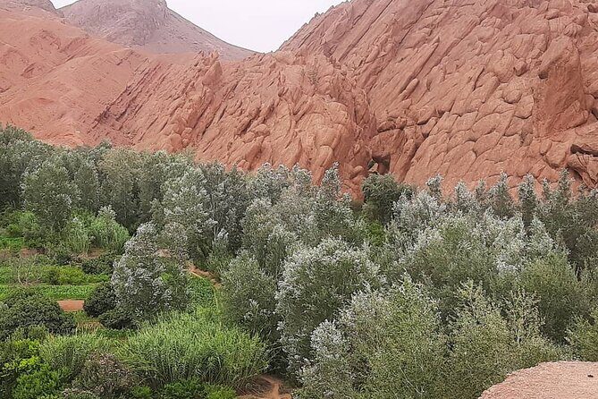 private 3 days Fes to Marrakech desert tour - Who Is This Tour Best For?