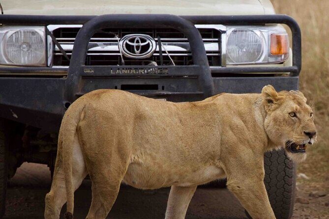 Private 3-Days of wildlife Safari exploring Uganda - What Makes This Tour Stand Out