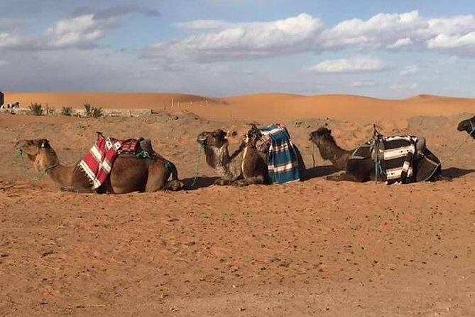 Private 3 Days Tour from Marrakech to Merzouga - Cultural and Historical Highlights