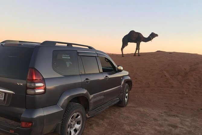 Private 3 Days Tour from Marrakech to Merzouga - Prices and Value