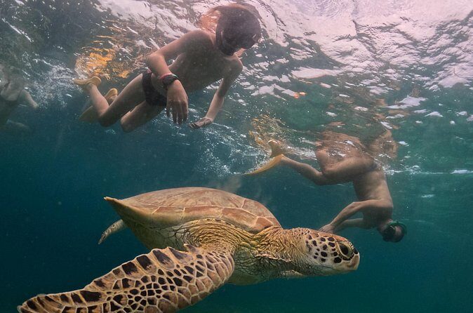 Private 3 Gili Trip - Authentic Insights from Reviews