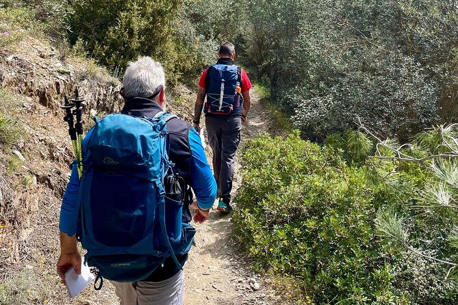 private-3-hour-hiking-in-mount-ymittos