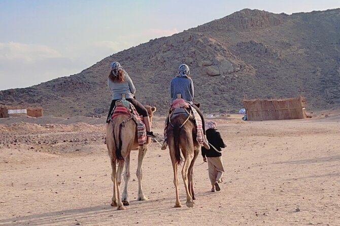 PRIVATE! 3-Hour or 5-Hour Quad Safari Tour to Sahara Desert - The Desert Experience: Memories That Last