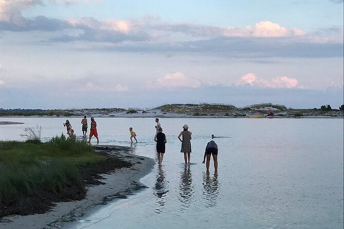 private-3-hour-powerboat-dolphin-cruise-with-remote-beach-stop-up-to-6-guests-2