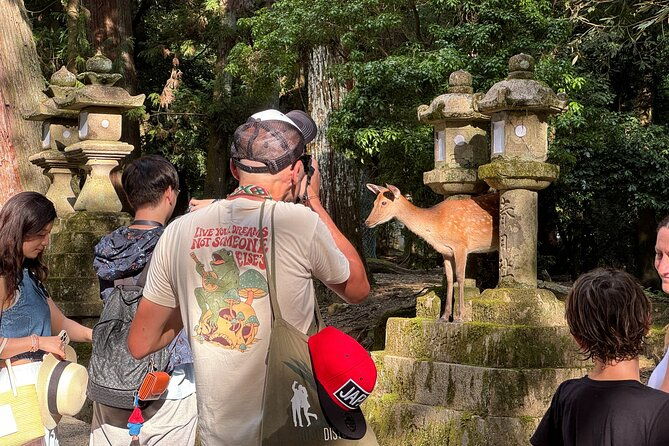 private-3-hour-unesco-heritage-sites-deer-park-tour