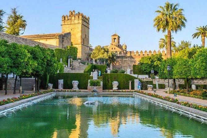 private-3-hour-walking-tour-of-cordoba-with-official-tour-guide