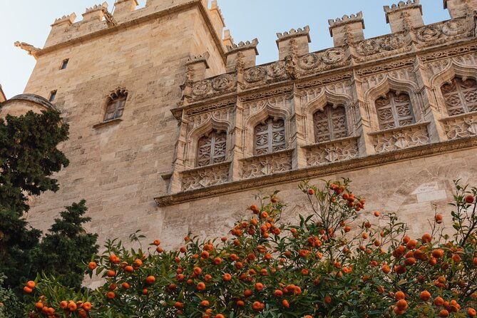 private-3-hours-walking-tour-in-valencia-city
