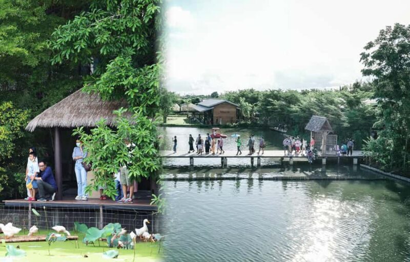 Private 3 IG Cafe + Don Wai Floating Market: from Bangkok - Final Thoughts