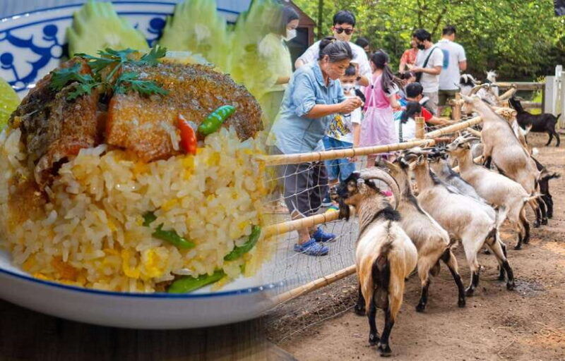 private-3-ig-cafe-don-wai-floating-market-from-bangkok