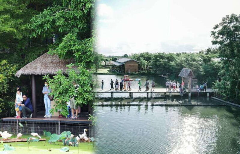 private-3-ig-cafe-don-wai-floating-market-from-bangkok