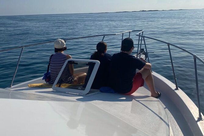 private-38-defender-sportfishing-swim-with-pigs-in-nassau