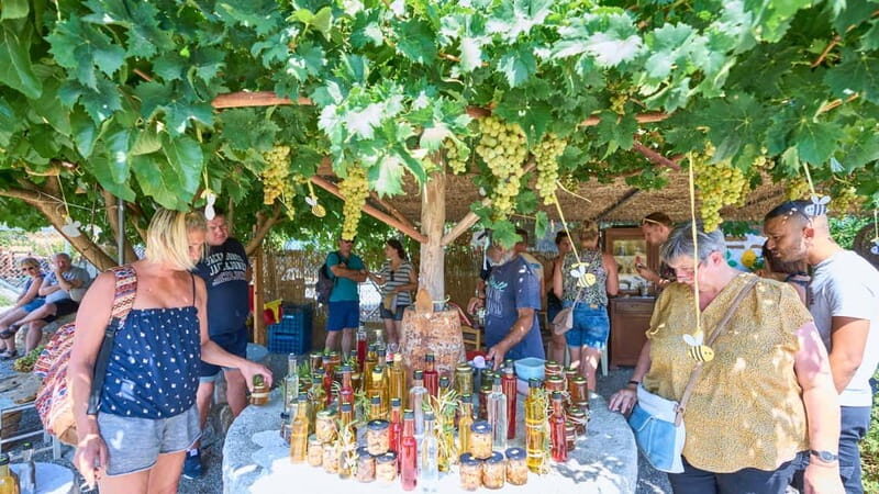 Private 4-5-Hour Tour and explore the hidden Gems of Rhodes - The Sum Up