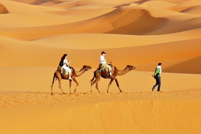 Private 4-Day Desert Tour from Marrakech to Zagora & Merzouga - Who Will Love This Tour?