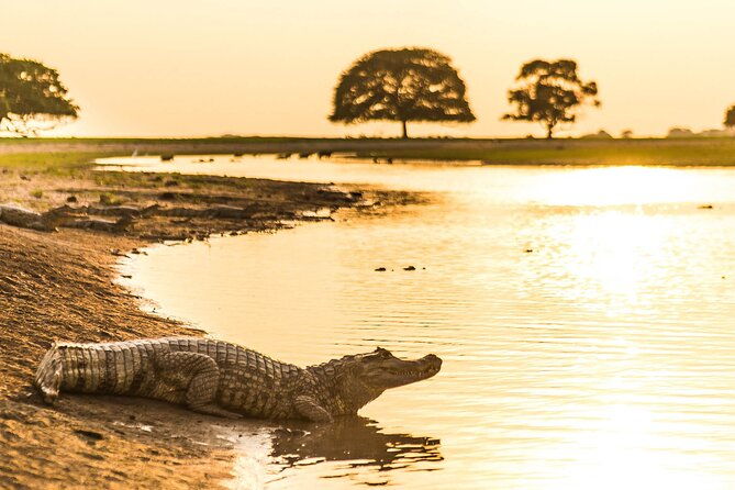 private-4-day-llanero-safari-tour-in-enchantment