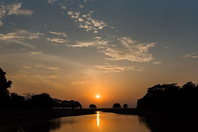 private-4-day-llanero-safari-tour-in-enchantment