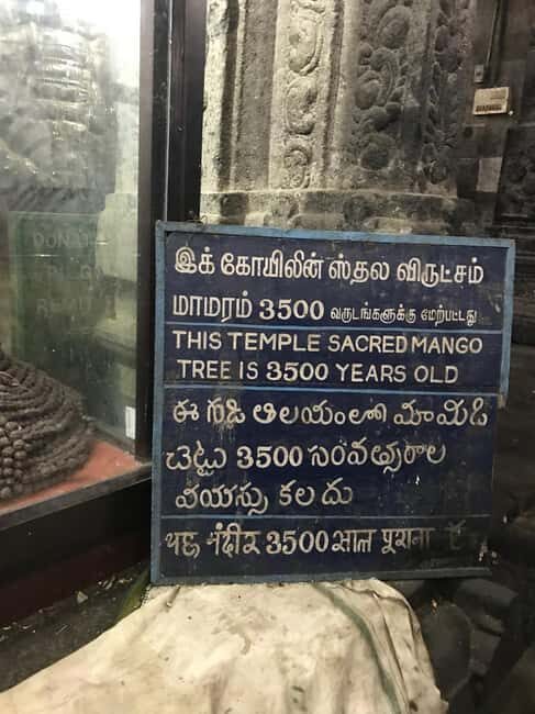 Private 4-Day Tamil Nadu Arts & Divine Tour from Chennai - Final Thoughts on Value and Suitability