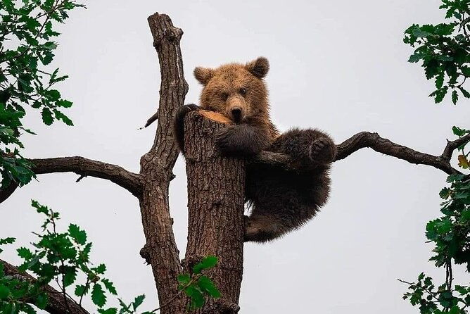 private-4-day-tour-in-transylvania-including-transfagarasan-road-from-bucharest-2