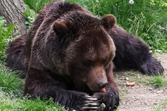 private-4-day-tour-in-transylvania-including-transfagarasan-road-from-bucharest-2