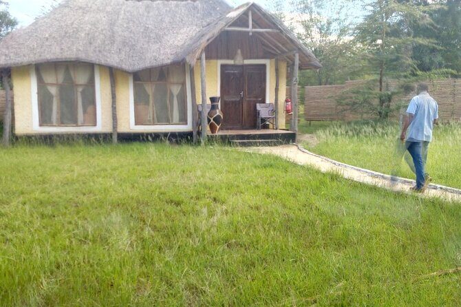 Private 4 Days Mikumi NP Inside the Park and Nyerere NP Tour - The Sum Up: Is It Worth It?  