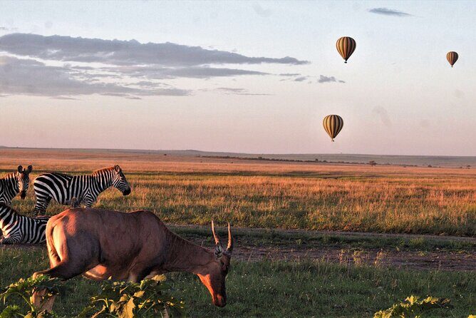 Private 4-Days Northern Circuit National Parks in Tanzania - The Sum Up: Who Will Love This Safari?