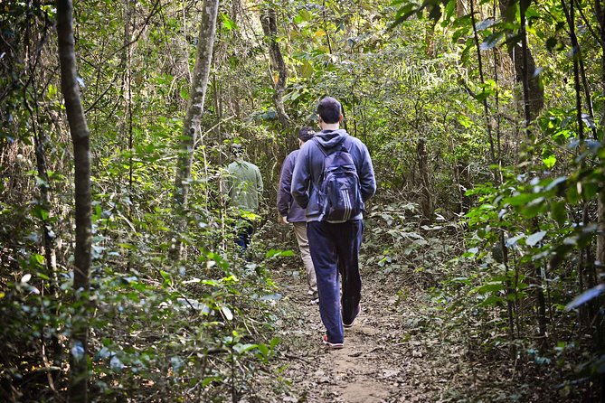 private-4-hour-ecotour-to-cantareira-or-jaragua-forest-reserve